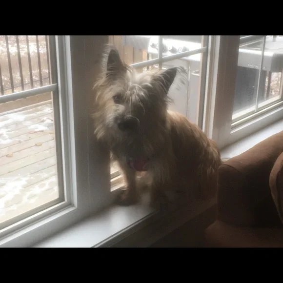 Meet your Posher, Elizabeth - Picture 11 of 16